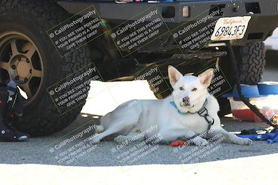 media/Sep-24-2023-TrackXperience (Sun) [[f3c21b612d]]/Around the Pits/